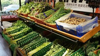 徐汇新开3家生鲜店简评及地址一览